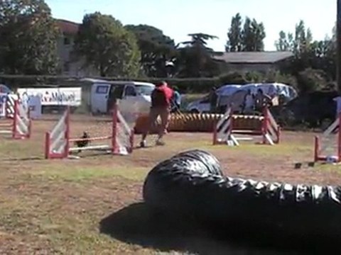 COOKY JUMPING CUGNAUX 02 10 2011