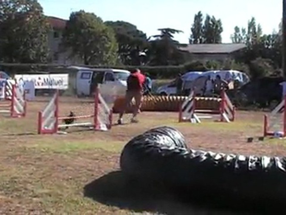 COOKY JUMPING CUGNAUX 02 10 2011