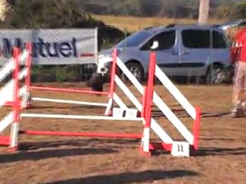 COOKY OPEN CUGNAUX 02 10 2011