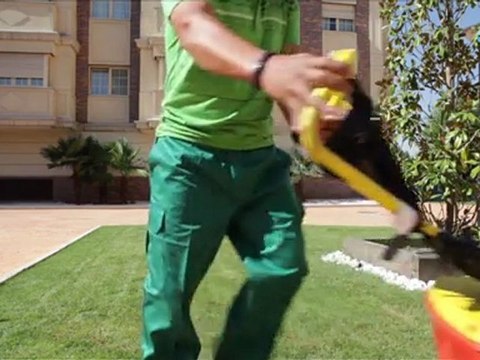 Grupo CJ Servicios Integrales