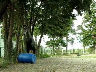 10.11 saut de plein pied