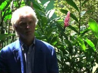 Costa Rica, Pain Management in Paradise