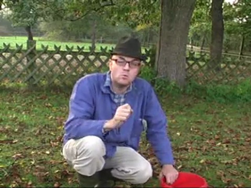 Pofalla vs. Bosbach - Kabarett mit Bauer Heinrich