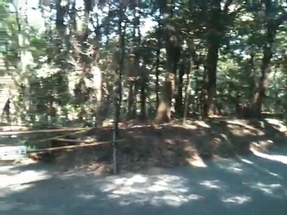 nature