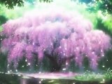 [MEP] Sakura Sakura [HD]