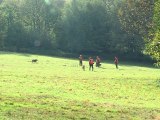 Fédération des Chasseurs de la Haute-Vienne