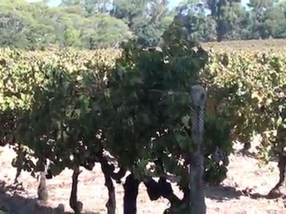 Giens, Port Cros, Porquerolles