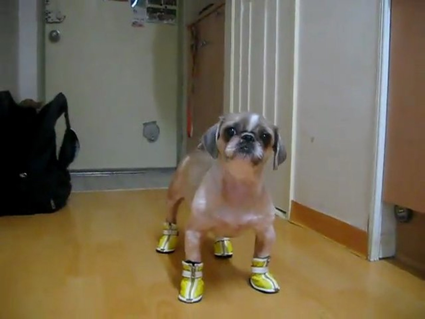 Booba and his yellow shoes - video Dailymotion