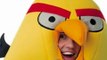 angry birds costumes for sale