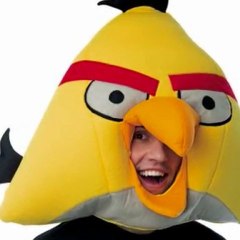 angry birds costumes for sale