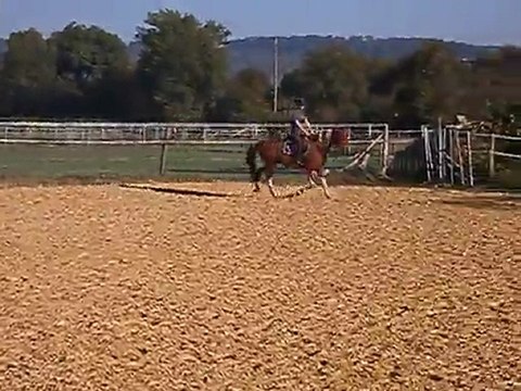 prince en rene allemandes