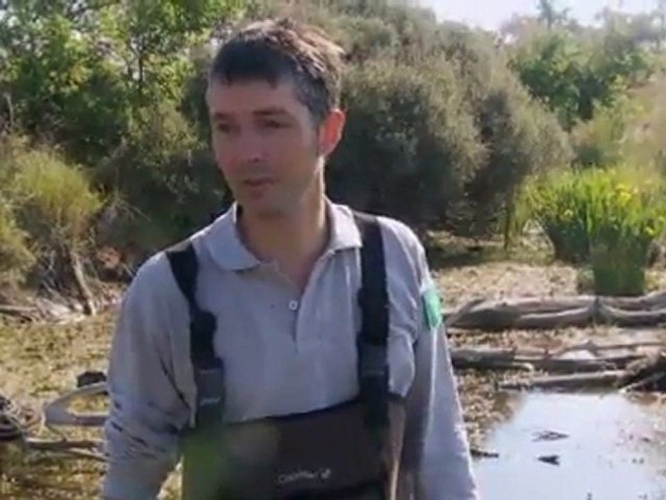 TVSuisse_camargueenchantee_extrait1