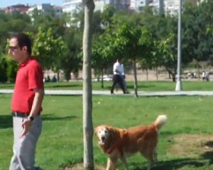 YAR YAR  bayram bozbayır