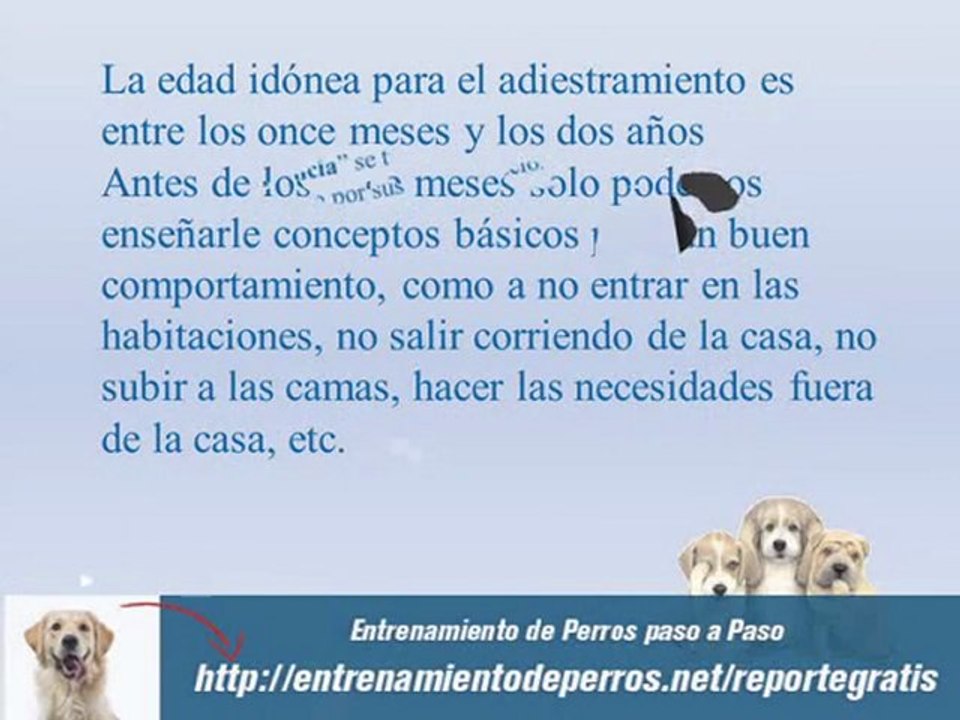Manual de Entrenamiento Canino y Adiestramiento de Perros