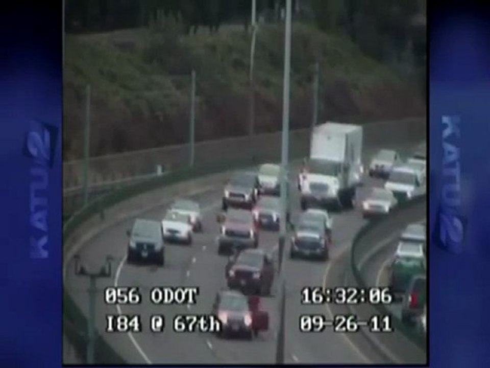 Un chien sur une autoroute