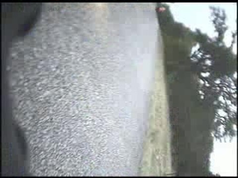 [Moto] Honda CBR 600 F4 Bambi Crash