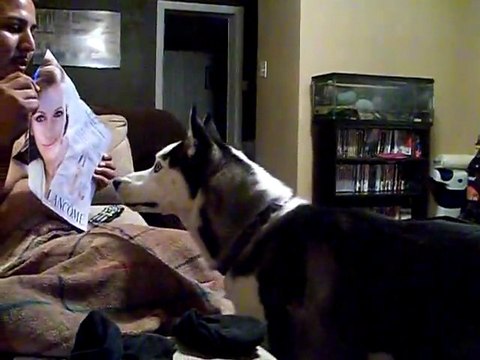 Julia Roberts fait peur à un chien husky