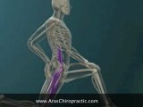 Chiropractic Singapore-Hip Flexor Stretch