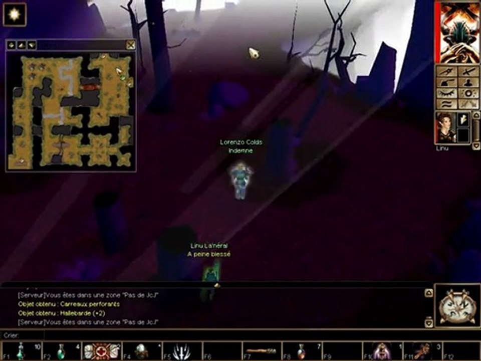 Neverwinter nights 93 Tombeau de layenne