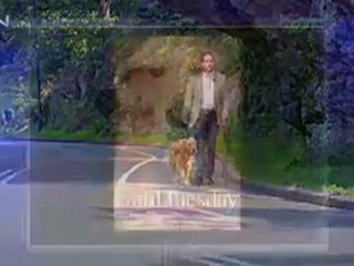 Man's Best Friend Offers 'Therapy for the Soul' - CBN.com