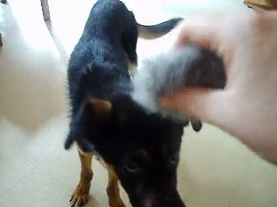 game's decouvre le jeu