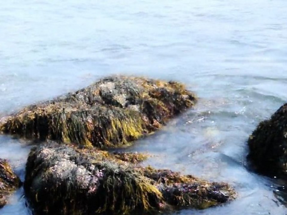 Die hypermeer-plattform