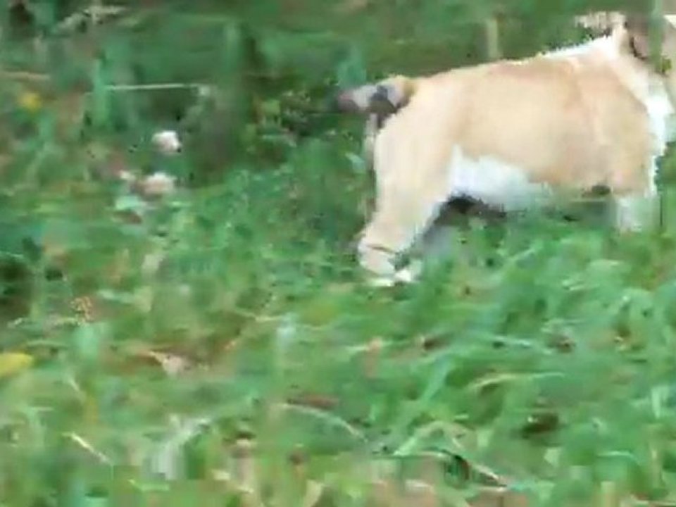 Globull Glouby 3m