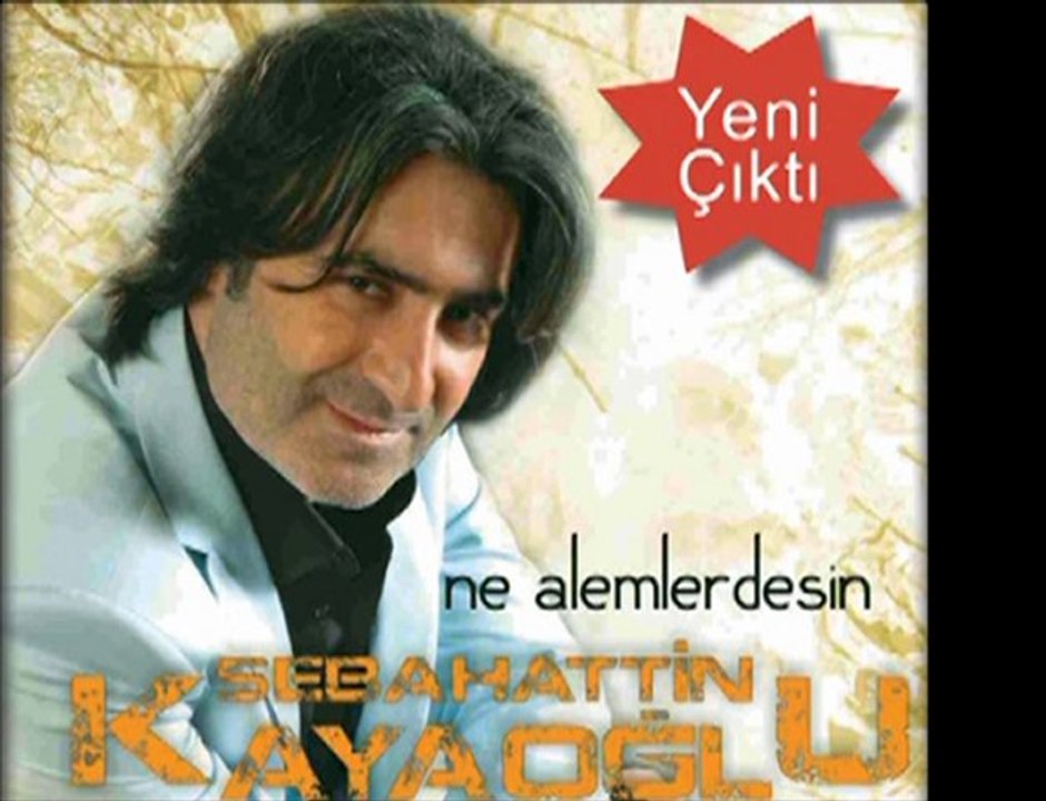 sebahattin kayaoglu Ne Alemlerdesin