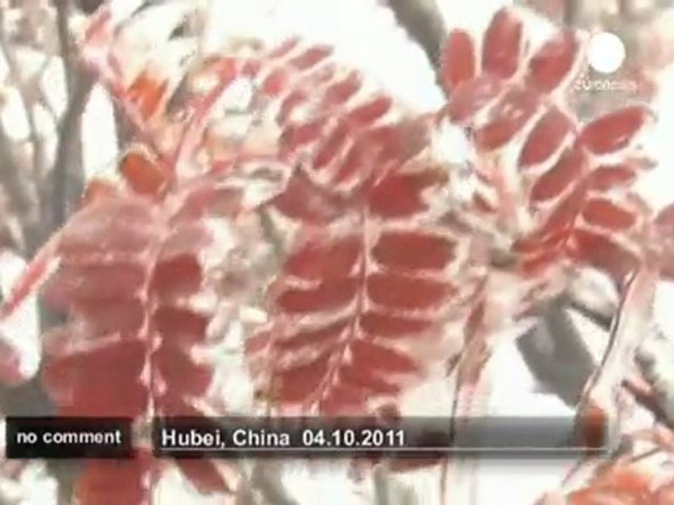 Chine : premières chutes de neige dans la... - no comment