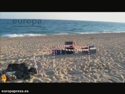 Hallan un nido de tortuga boba en una playa
