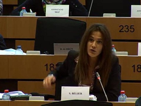 Sandrine Bélier - Gaz de schiste en Commission Environnement