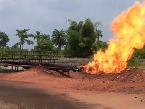 2/5 L’Age de la stupidité