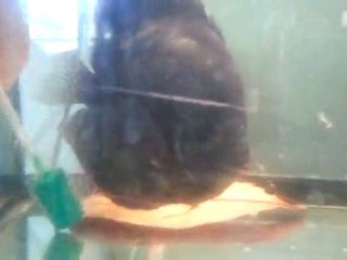 video-2011-10-05-17-40-30