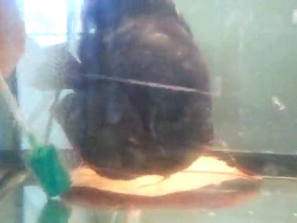 video-2011-10-05-17-40-30
