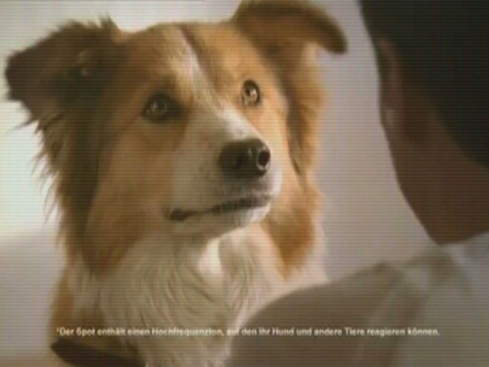 La première pub pour les chiens