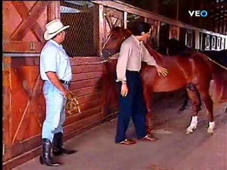 Película LMDMV 1