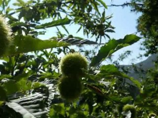 Hamzaköy Kathod Dağcılık Yürüyüş gurubu  02.10.2011