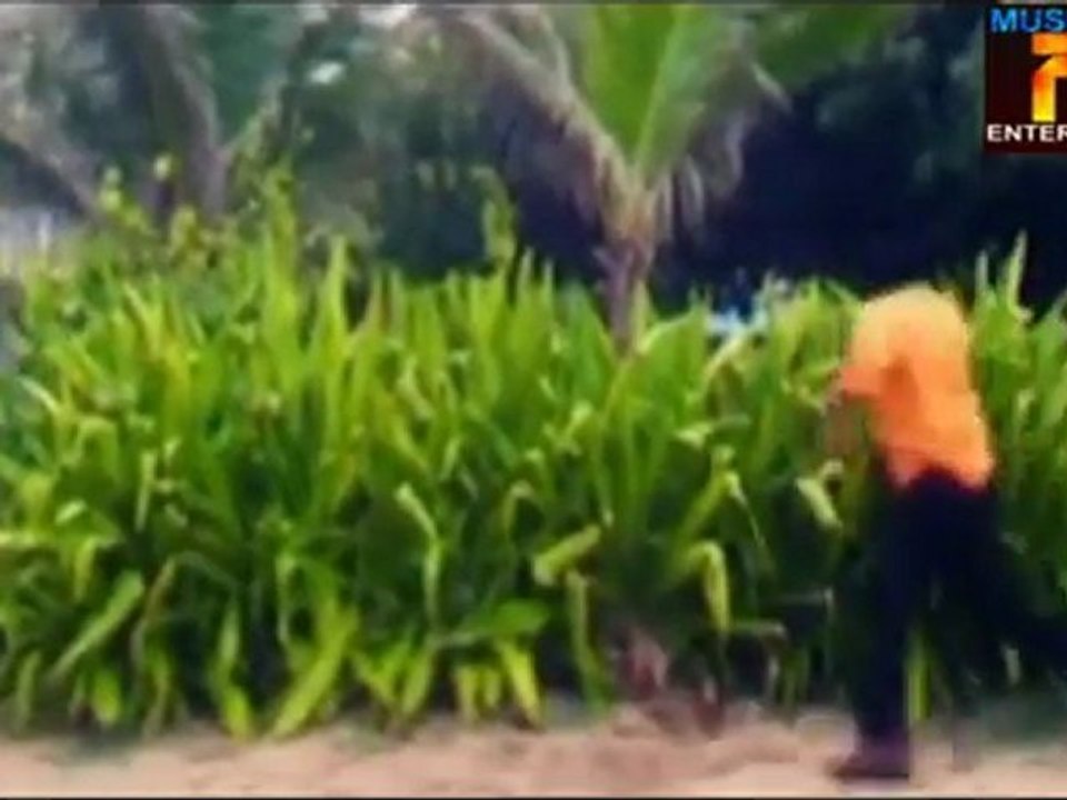 Swarnamukhi-Poo Malarnthida