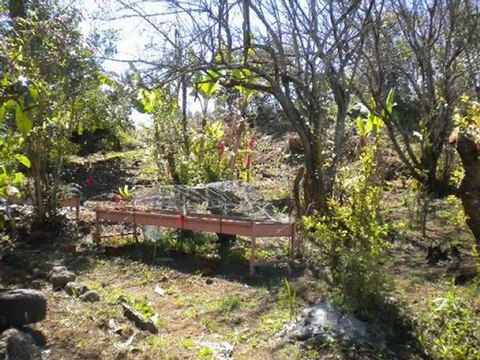 tampon plaine des cafres vente maison idéal pour gite réunion