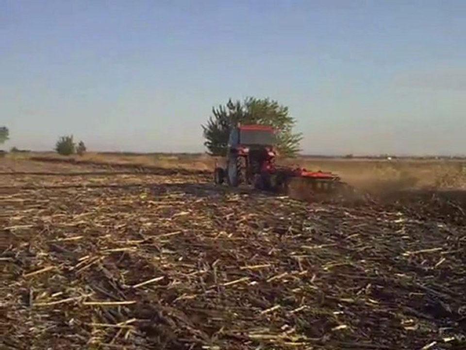 özdöken 20 li goble - başak 2073sh