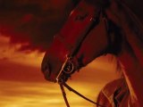 Cheval de Guerre (War Horse) - Bande-Annonce / Trailer #2 [VOSTFR|HD]