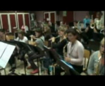 Les cygnes en répète