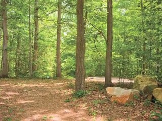 Springwoods at Lake Ridge