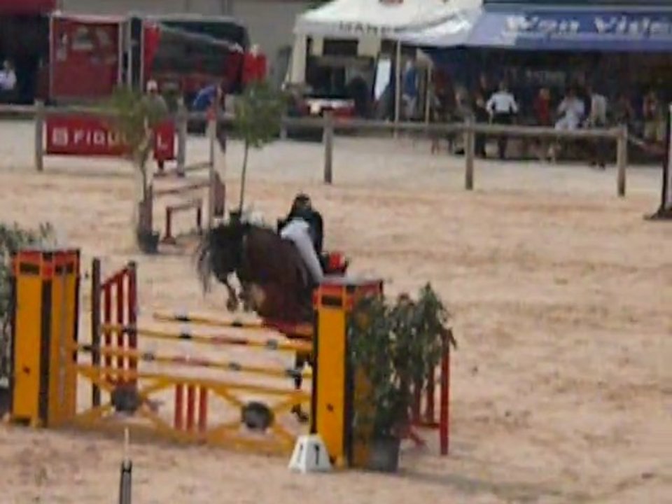chasse équimasters 2011