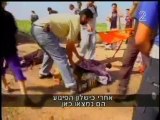 ATAQUES TERRORISTAS DE LOS PALESTINOS A ISRAEL
