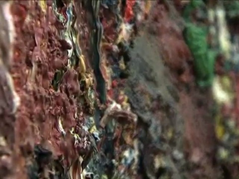 Lille Métropole Actu - 24 décembre 2010