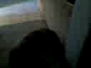 02/10/2011 vidéos de Pataud