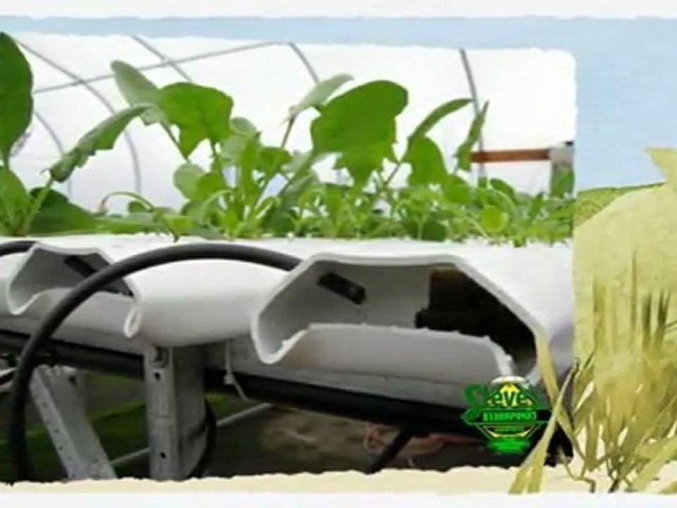 What is Nutrient Film Technology | Halifax Hydroponics