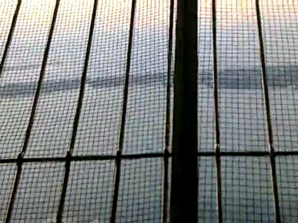 Downtown Toronto - Belvédère de la CN Tower, et du vent