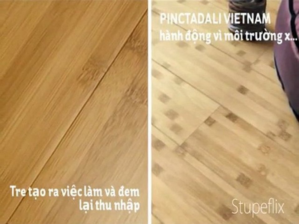 PINCTADALI - Animals Save the Planet - polar beer insulation